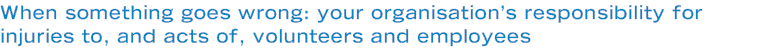 When something goes wrong: your organisation’s responsibility for injuries to, and acts of, volunteers and employees