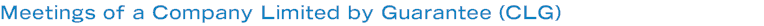 Meetings of a Company Limited by Guarantee (CLG)