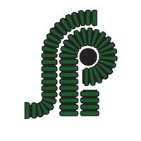 Springfield Plastics Inc.