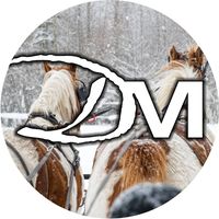 Distinctly Montana
