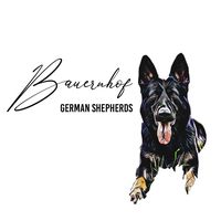Zwinger von dem Bauernhof German Shepherds