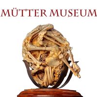 Mütter Museum of The College of Physicians of Philadelphia