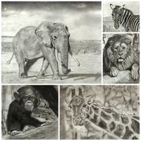 Learn to Draw Books
