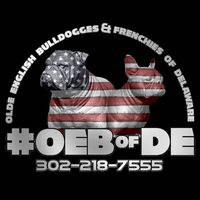 Olde English Bulldogges & Frenchies Of Delaware