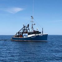 Saltmarsh Seafood