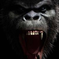 GORILLAS