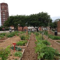 McKinley Park Community Garden