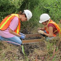 Gulf Coast Archaeology Group, LLC