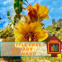 Cactus Blossom Kids, A Reggio Inspired Place to Play and Learn