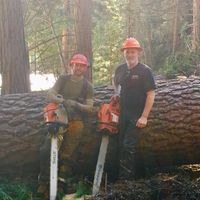 High Sierra Timber Management