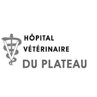 Hôpital Vétérinaire Du Plateau