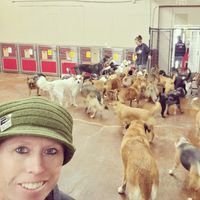 K9 Lifeline