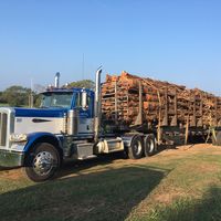 Jerry Whittmore Timber
