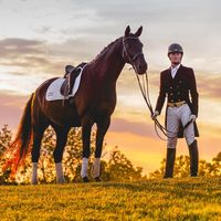 Stephen Hayes Dressage