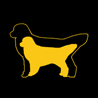 GoldenQuest Comfort Retrievers
