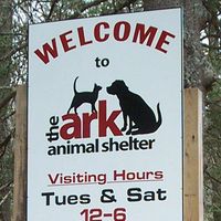 The Ark Animal Shelter