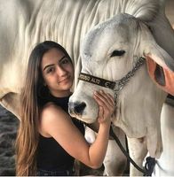Amantes del campo