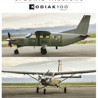Modern Kodiak