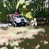 High Country Timber & Grading