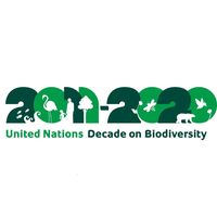 United Nations Decade on Biodiversity