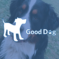 Good Dog Ranch & Spa