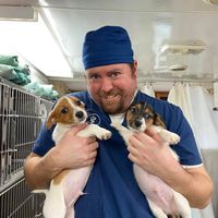Spay Neuter Express