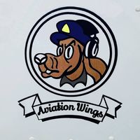 Aviation Wings