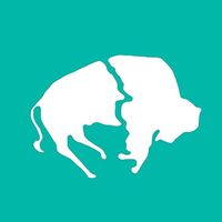 Buffalo Airways
