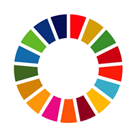 UN DPI NGO Relations