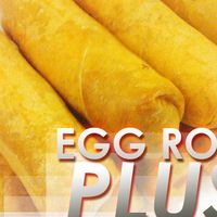 Egg Roll Plus