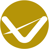 VIP All State Service