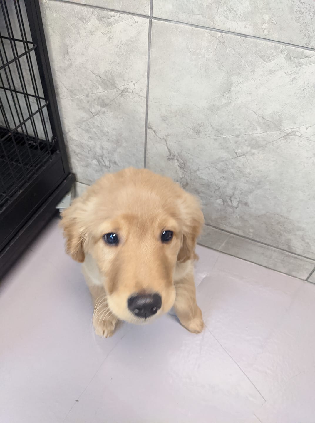 Welcome to daycare Rocky!