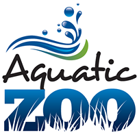 Aquatic Zoo