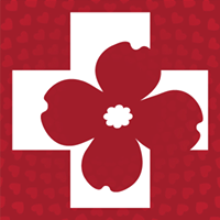 Mission Health