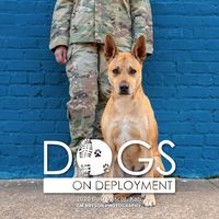 Dogs on Deployment