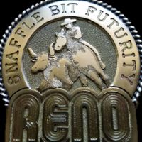 Reno Snaffle Bit Futurity