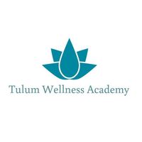 Tulum Wellness Academy