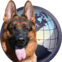 I-Guard International K9 Services