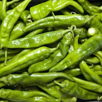 Hatch Green Chile