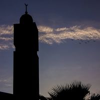 Elfarouq