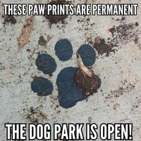 Fans of New Braunfels Puppy Playland