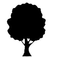 Shore Road Parks Conservancy