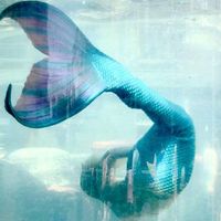 Mitten Mermaid