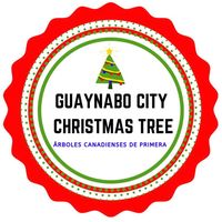 Guaynabo City Christmas Tree
