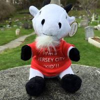 The Historic Jersey City and Harsimus Cemetery