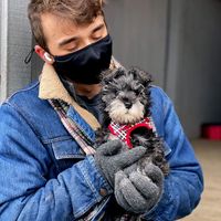 Janry Pet Resort