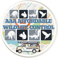 AAA Affordable Wildlife Control