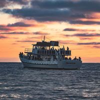 San Diego Whale Watch