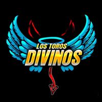 Los Toros Divinos USA