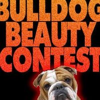 Bulldog Beauty Contest